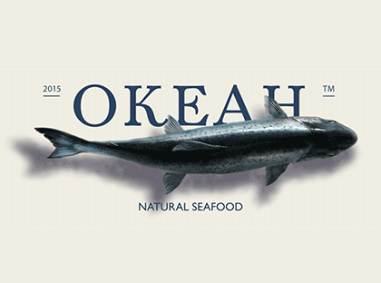 animacja na stronie www; tomeson.com